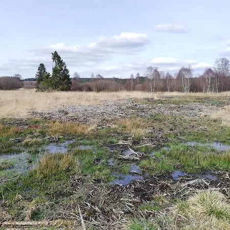 Escape In Hautes Fagnes Ferienhaus